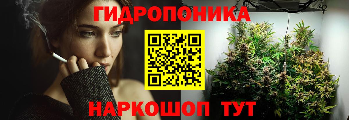Каннабис OG Kush  Вход с VPN  Медногорск  Бошки марихуана семена 